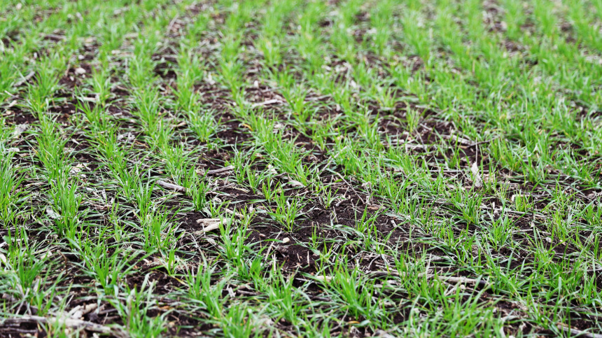    Фото: © РИА Новости/Сергей Аверин