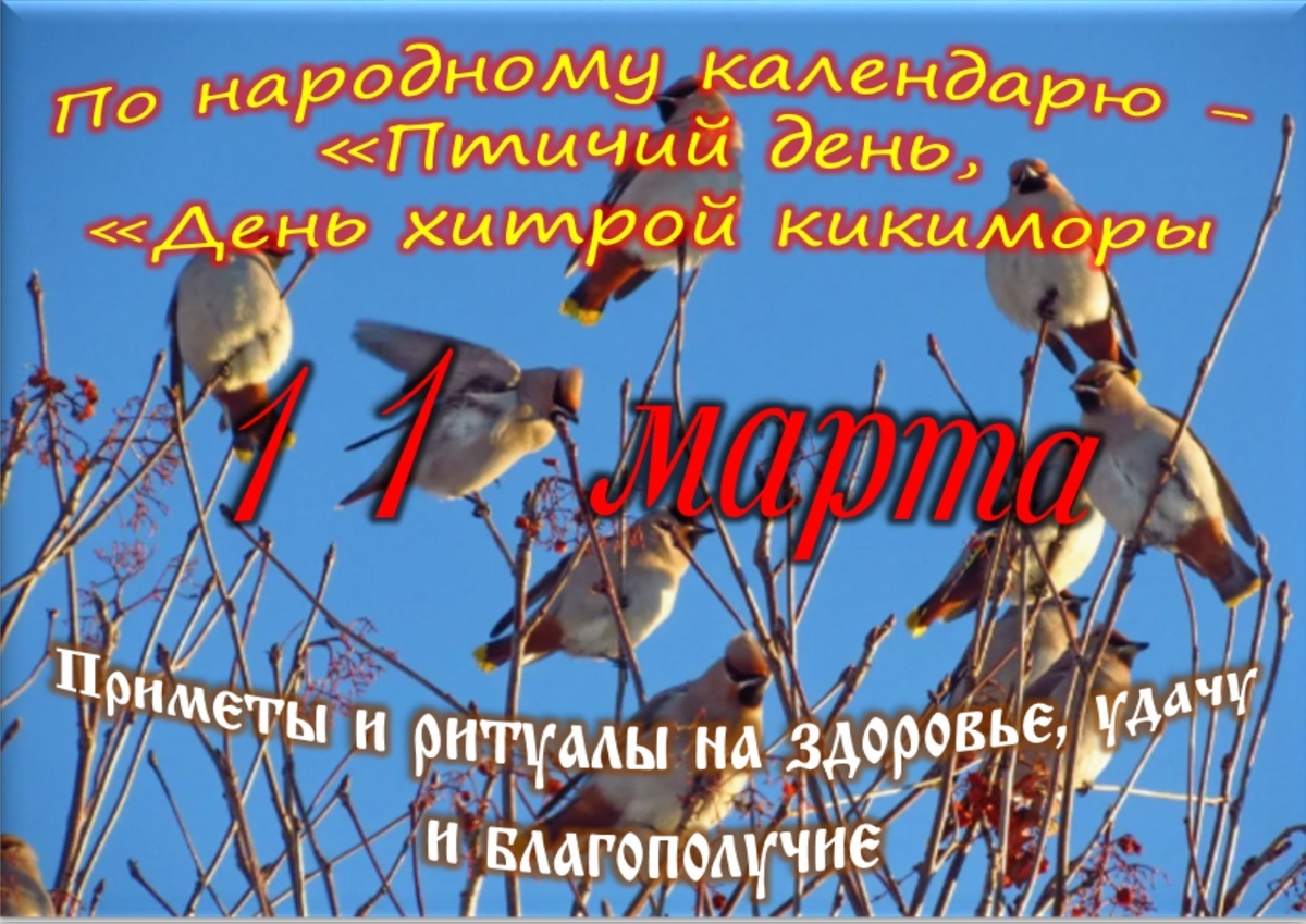 Встречаем новый день