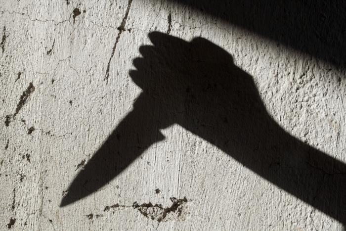 Обложка © Shutterstock / FOTODOM / rootstock