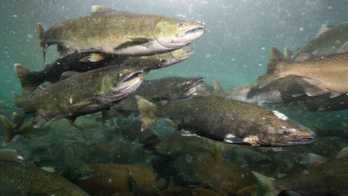 Фото: edb3_16 / Freepik.com