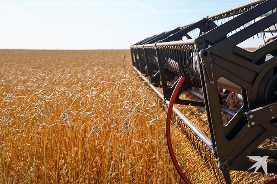    Продукция прибыла из Курской области Мария ЛЕНЦ