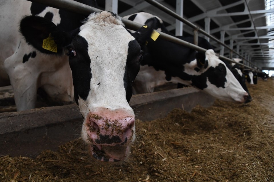    Сейчас минтруд разрабатывает соцвыплаты для пострадавших семей. Михаил ФРОЛОВ