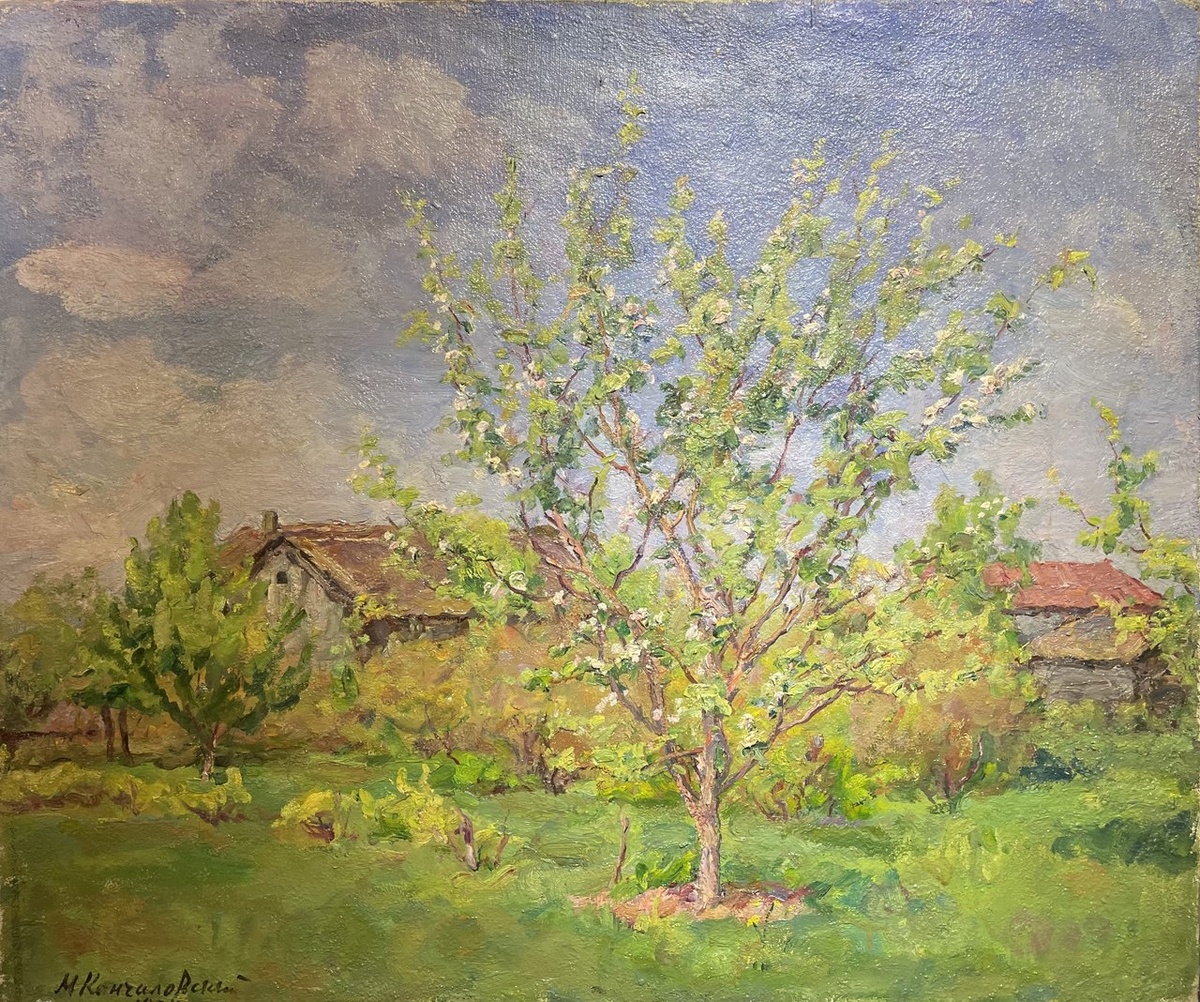 Кончаловский М. П. Цветущая яблоня 1954г., холст, масло