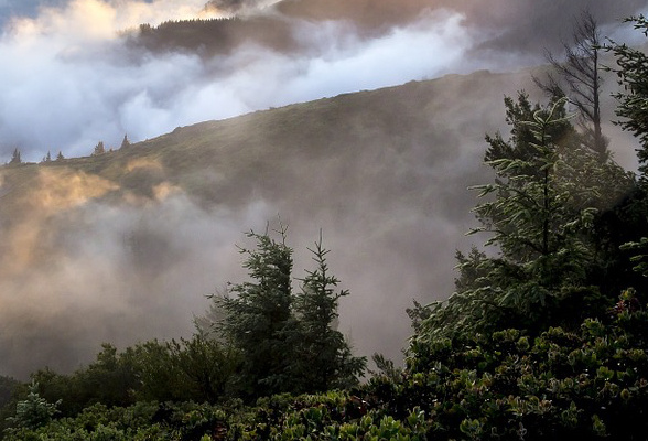 фото: pxhere