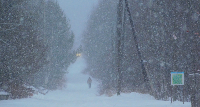    Фотоархив редакции
