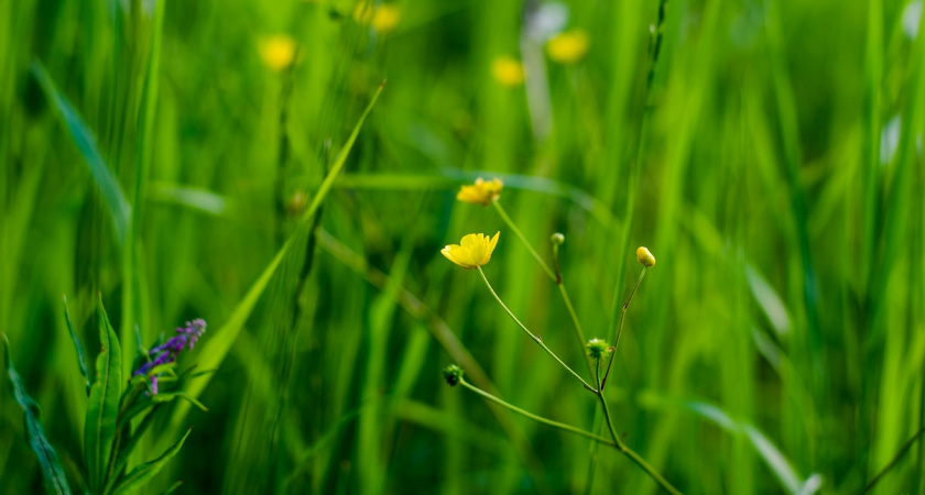    фото из архива редакции