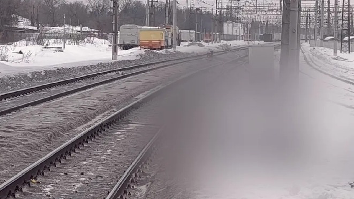    Фото: пресс-служба Западного МСУТ СК России / MAX