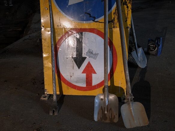    Элина Болдырева