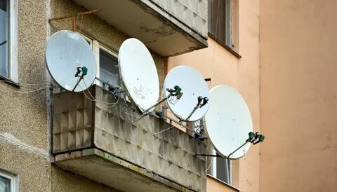 Тарелки пусты.  фото: яндекс.