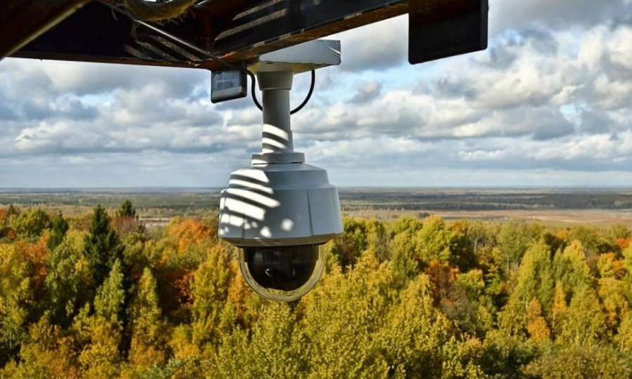 В Чувашии увеличат количество камер для наблюдения за лесами