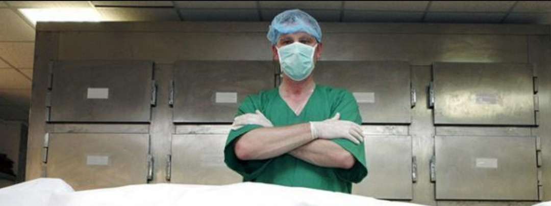 Следствие ведут знатоки: 4 детектива от судмедэкспертов