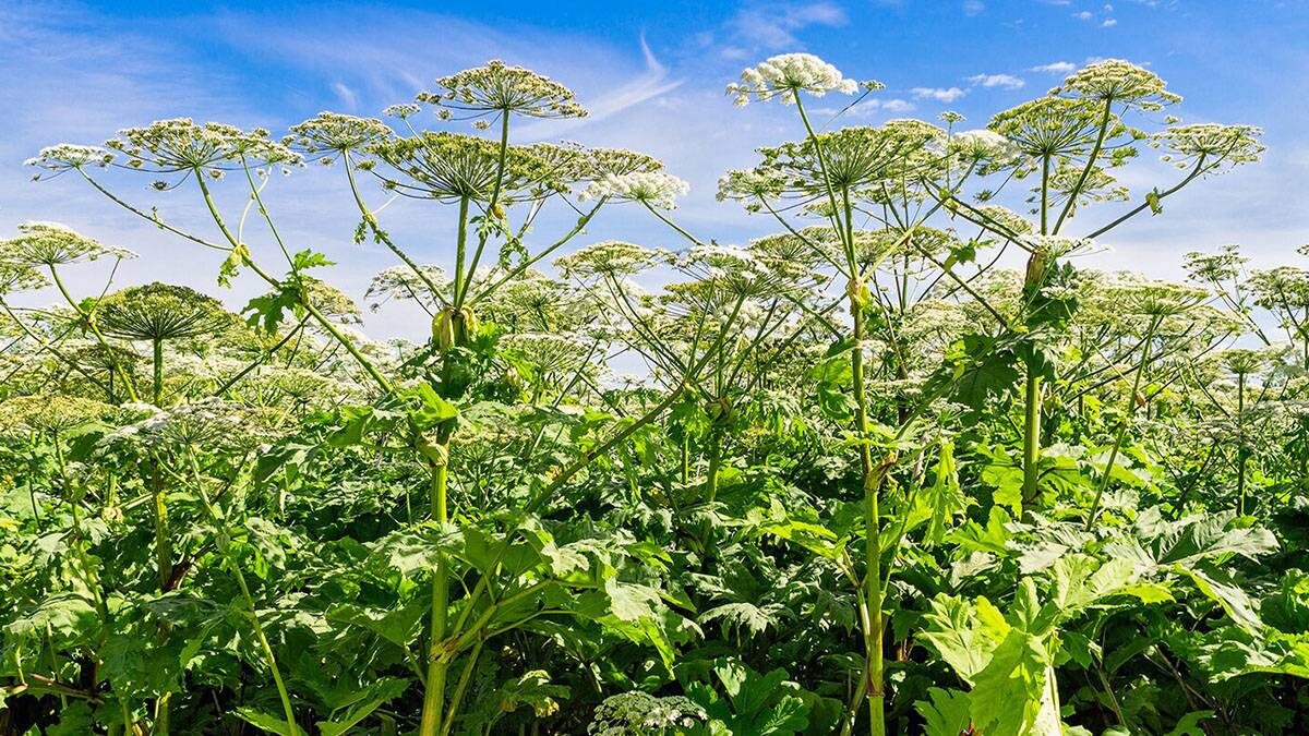    Фото: mos.ru / Официальный сайт мэра Москвы