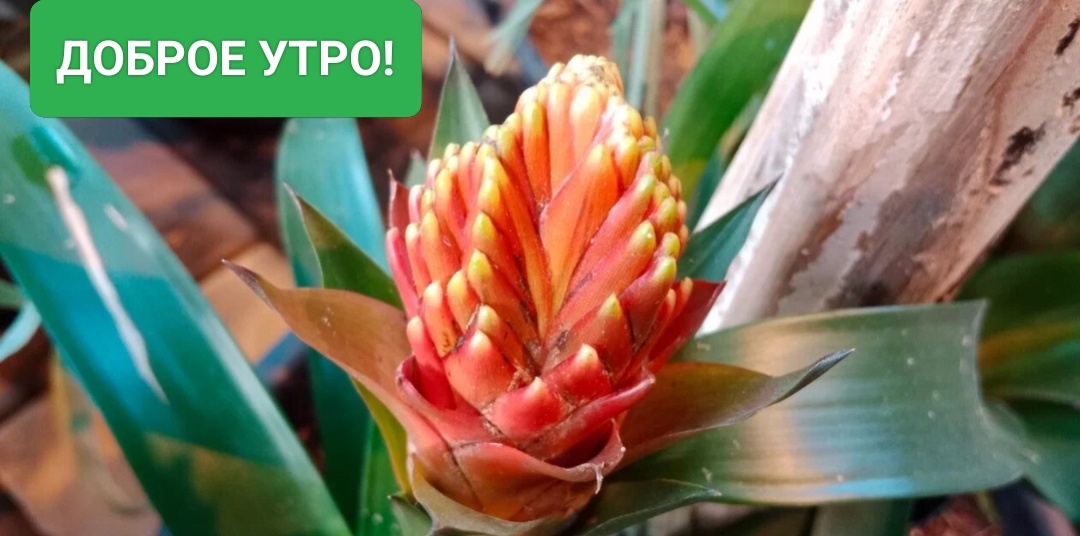 Фото авторв