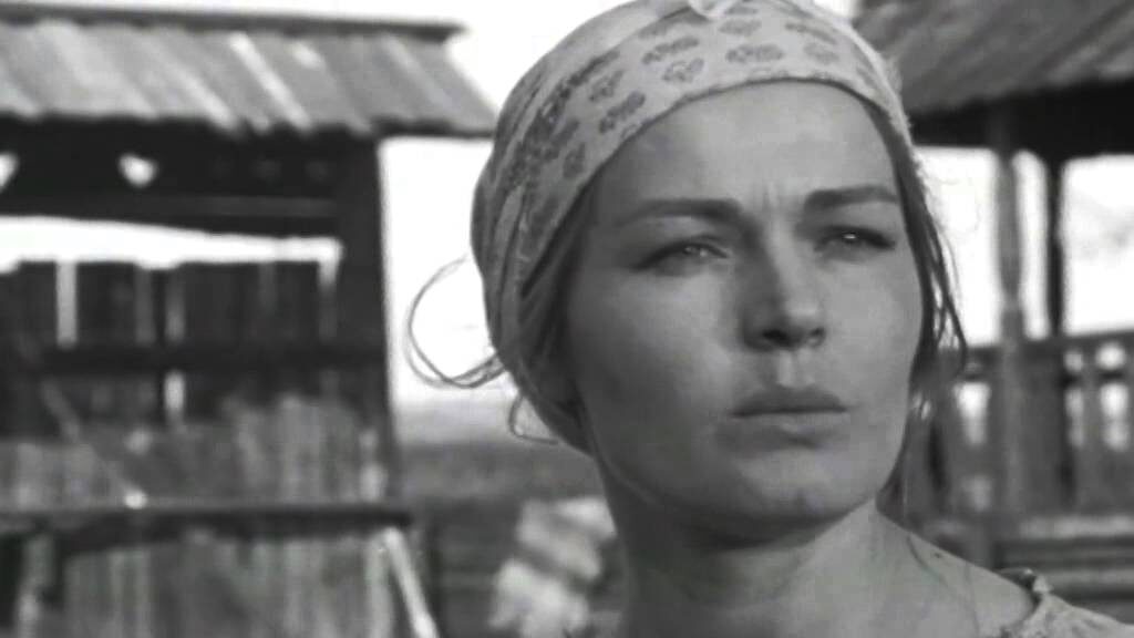 фото из открытого источника