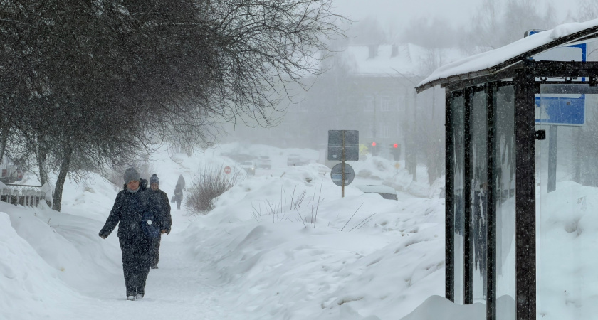    Фото: prochepetsk.ru