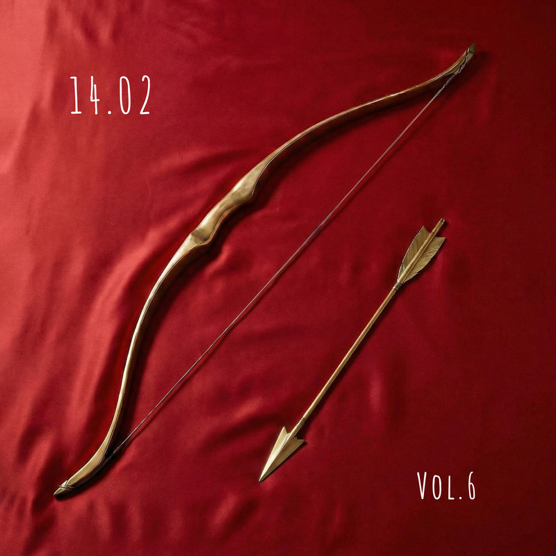 Обложка «14.02 Vol.6»