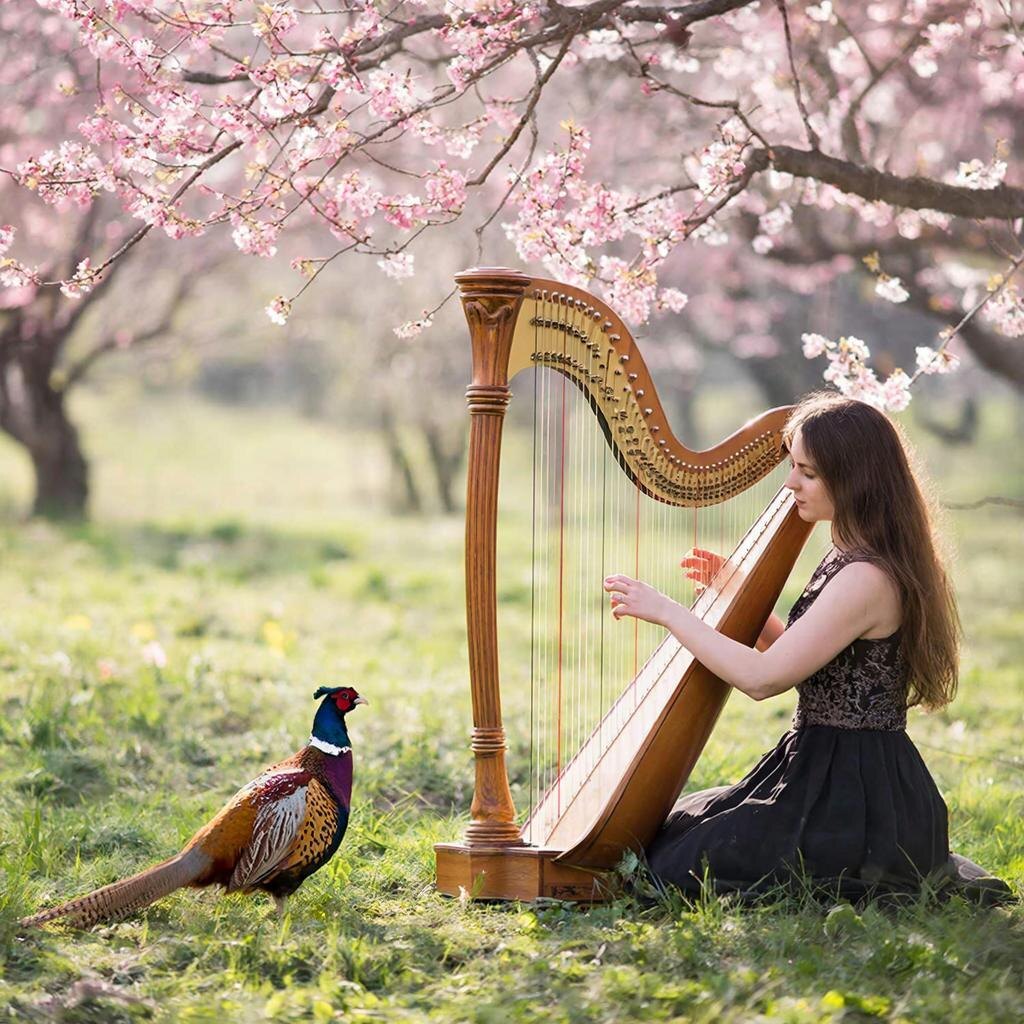 Элли, завязывай уже с этими балладами! Мне как-то "Лебединое озеро" ближе...