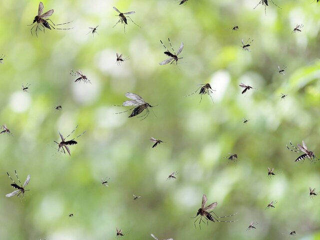    Фото: 123RF.com/kwangmoo