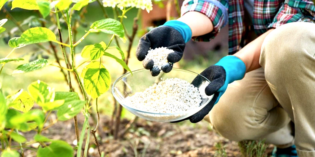 График подкормок сада с марта по июнь: что, когда и чем удобрять
