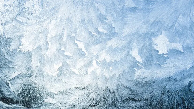    Источник: russian.rt.com Марина Латышева