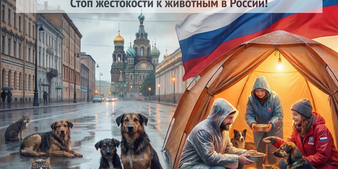 Против жестоких мер: почему эвтаназия – не выход