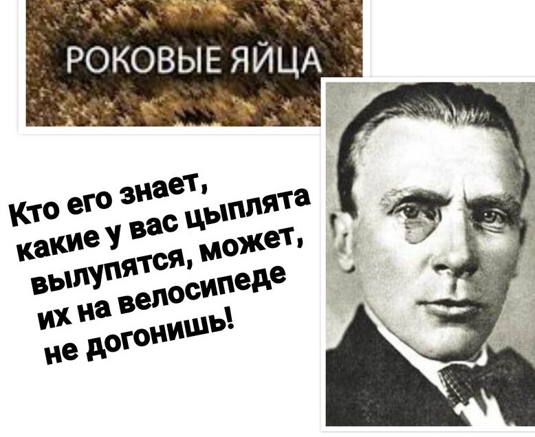 Обложка книги в свободном доступе 