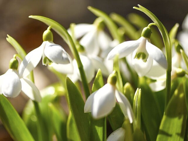    Фото: портал мэра и правительства Москвы/Дарья Мясина