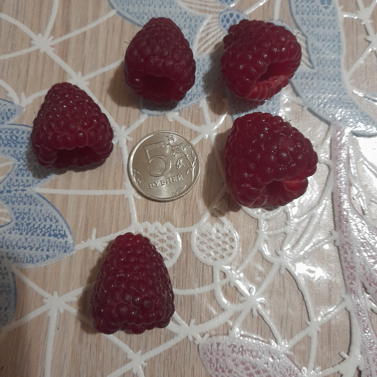 Фото из личного архива автора. Малина  Полька