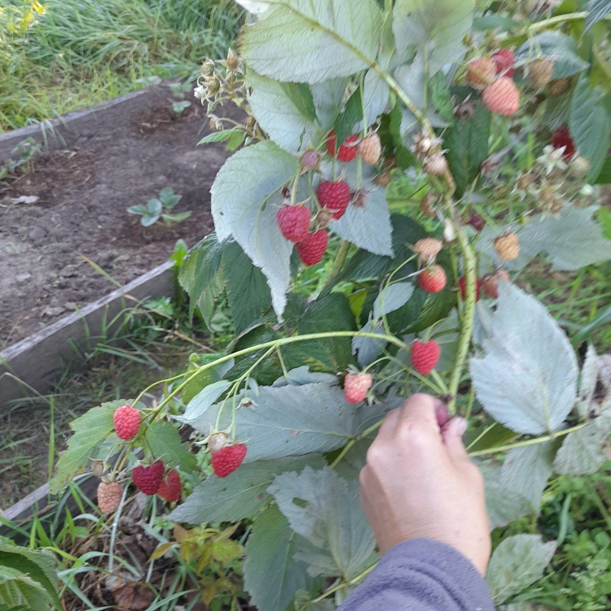 Фото из личного архива автора,