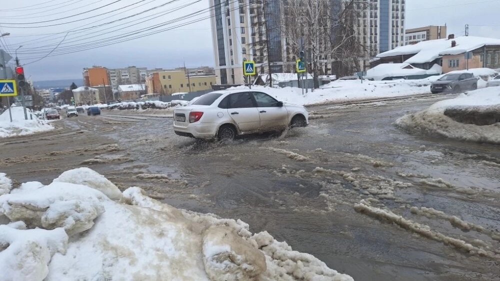    Фото: АиФ/ Акишина Ирина