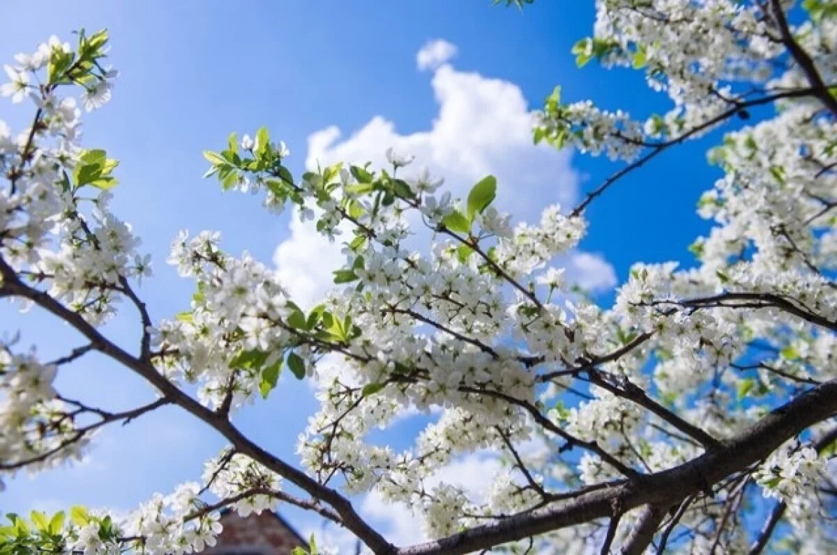    Врач Волкова назвала, когда можно будет ходить без шапки по улице