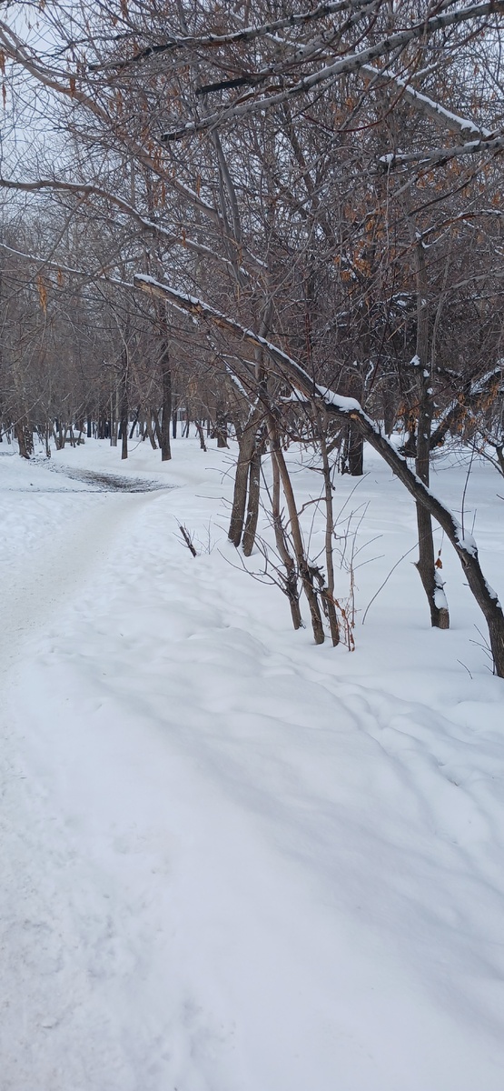 "Доброе утро, мир! Ты прекрасен!" Фото автора