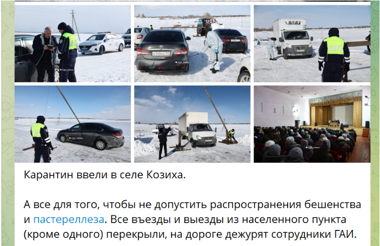 Скрин с канала "НГС — новости Новосибирска".