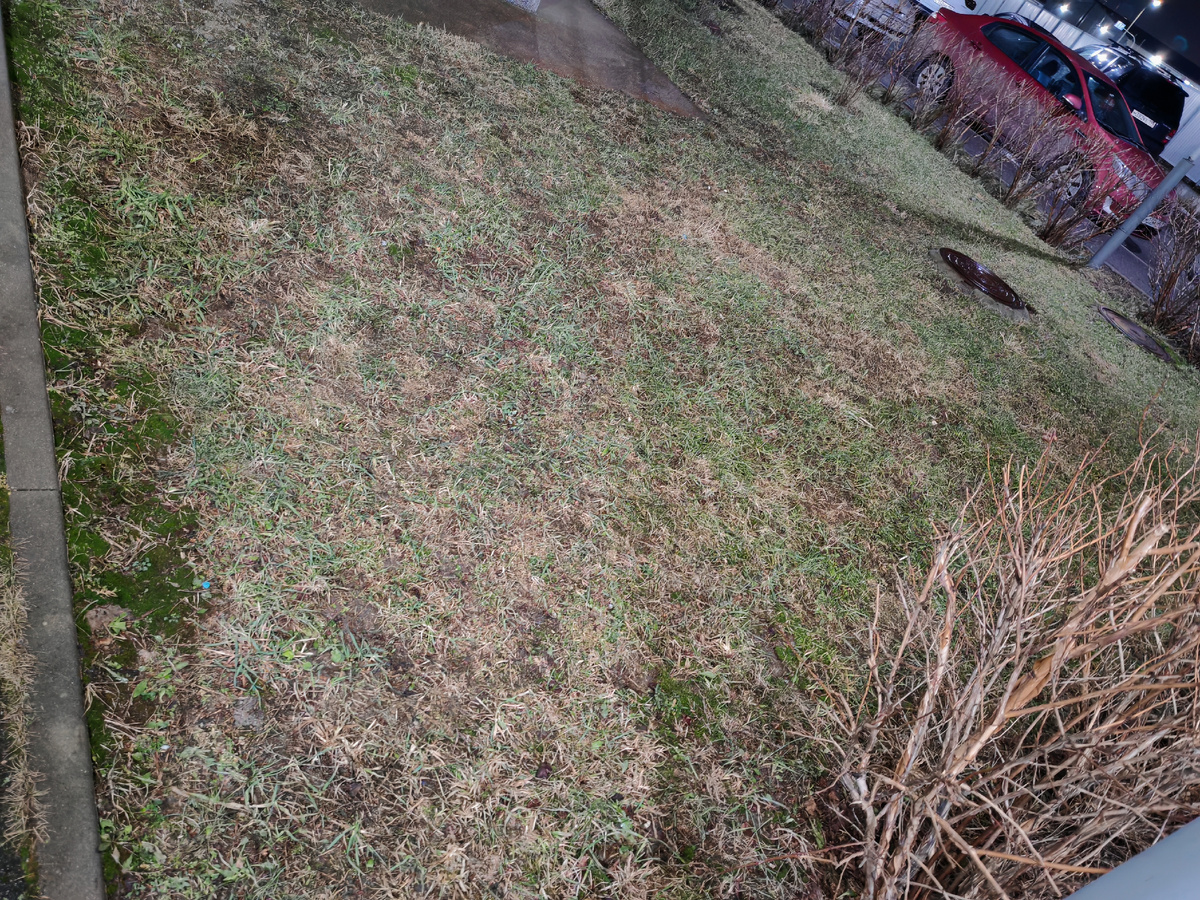 С южной стороны дома. Скоро и травка, кажется, зазеленеет.