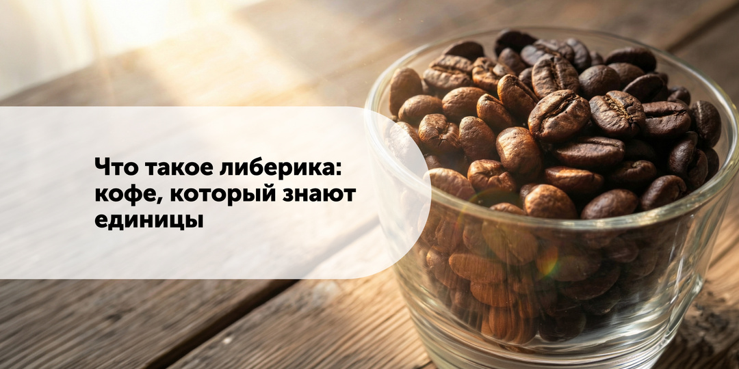 Что такое либерика: кофе, который знают единицы