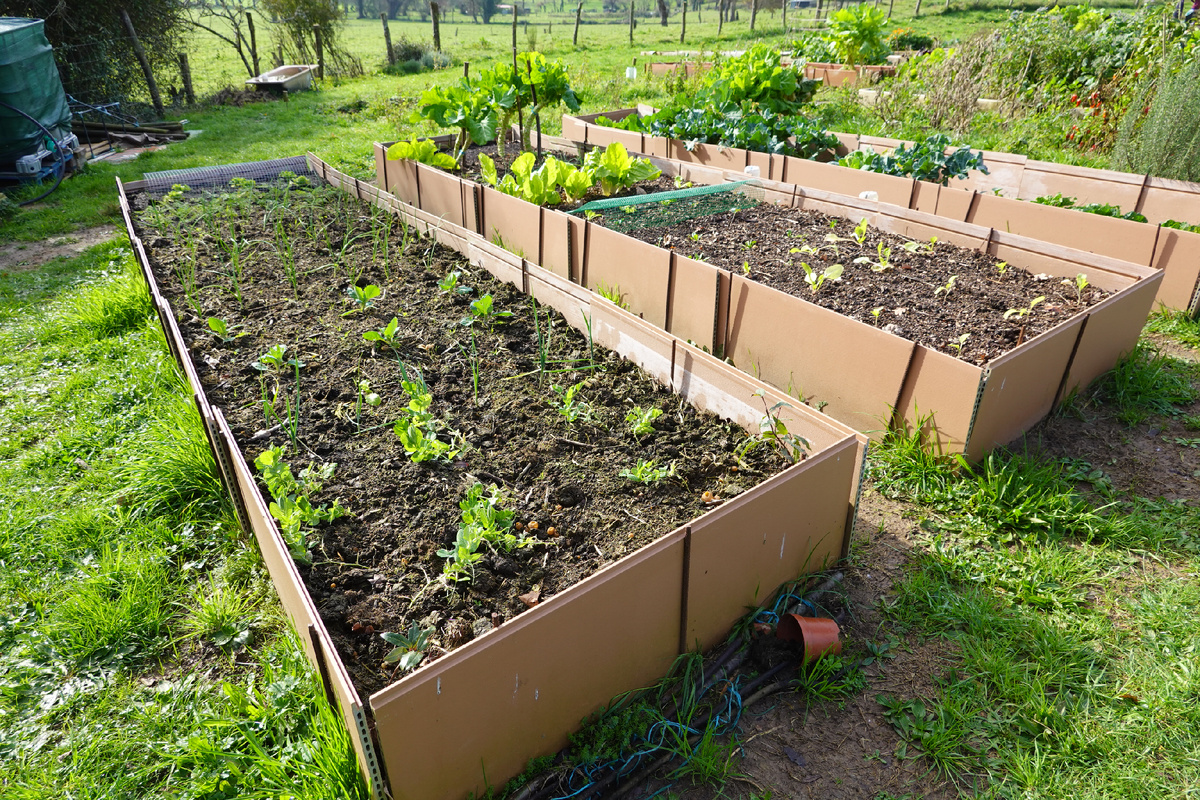 Designed by Freepik. Источник: www.freepik.com