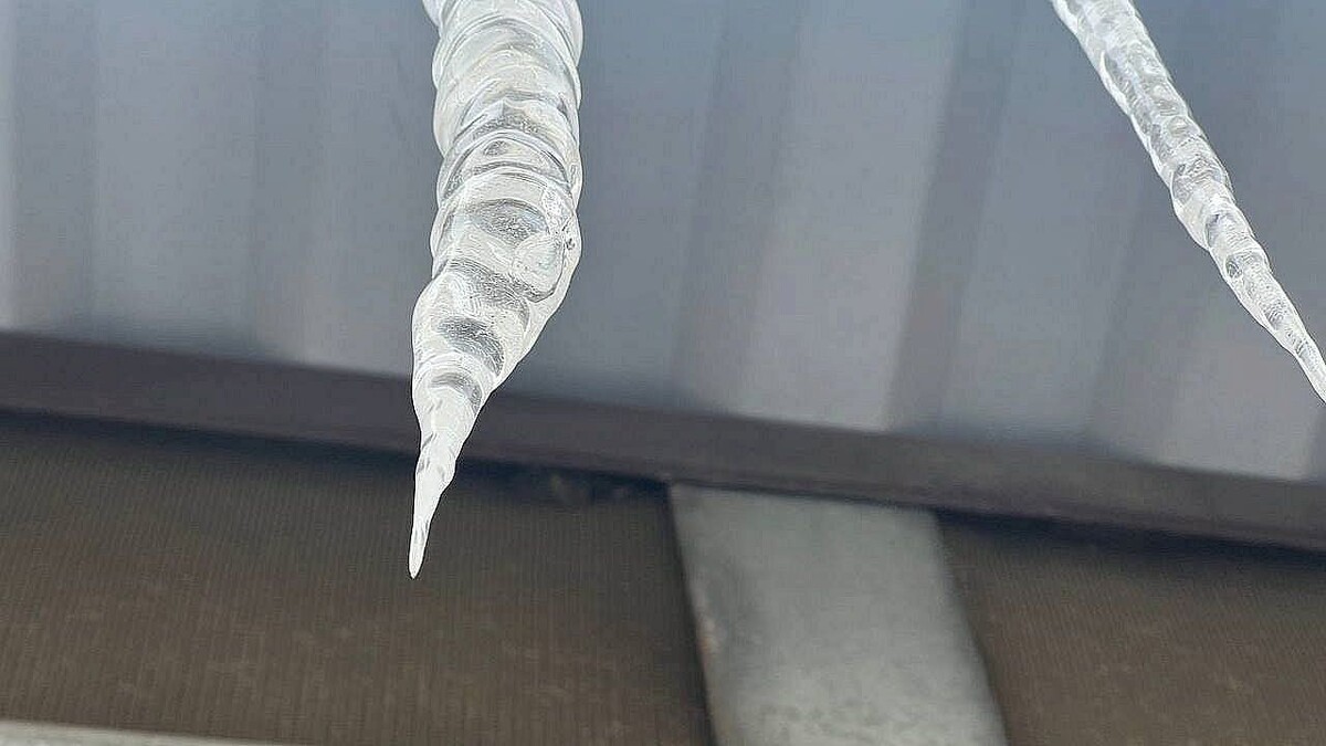    Фото: телеканал «Краснодар»