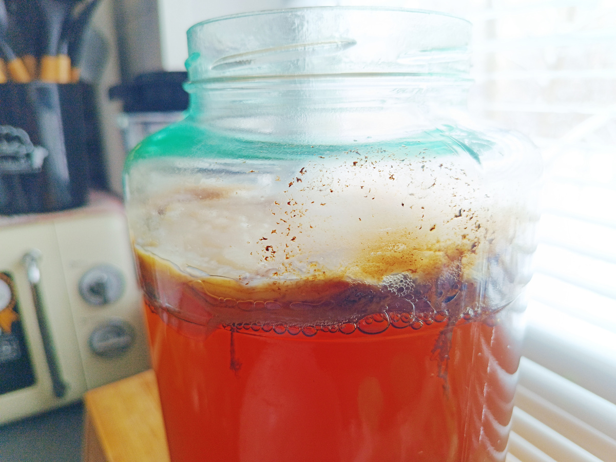 Пора помыться) Чистота — залог вкусной комбучи