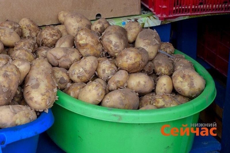    Фото: ИА "Нижний сейчас" Иван Воробьев