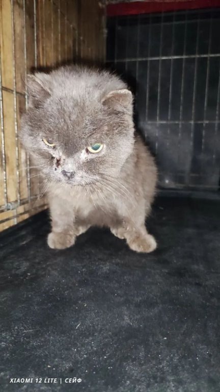 Таким мы его забрали