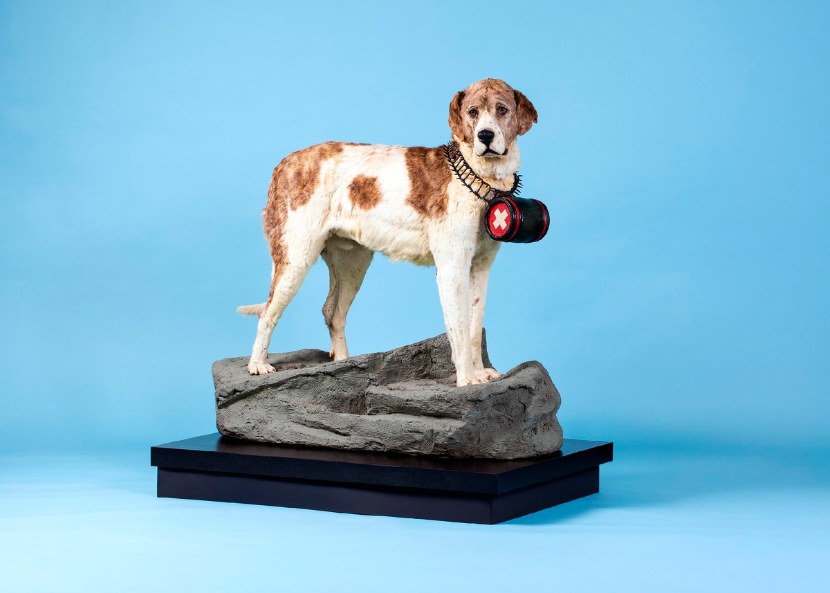 Легендарный сенбернар Барри — одна из первых известных собак-спасателей