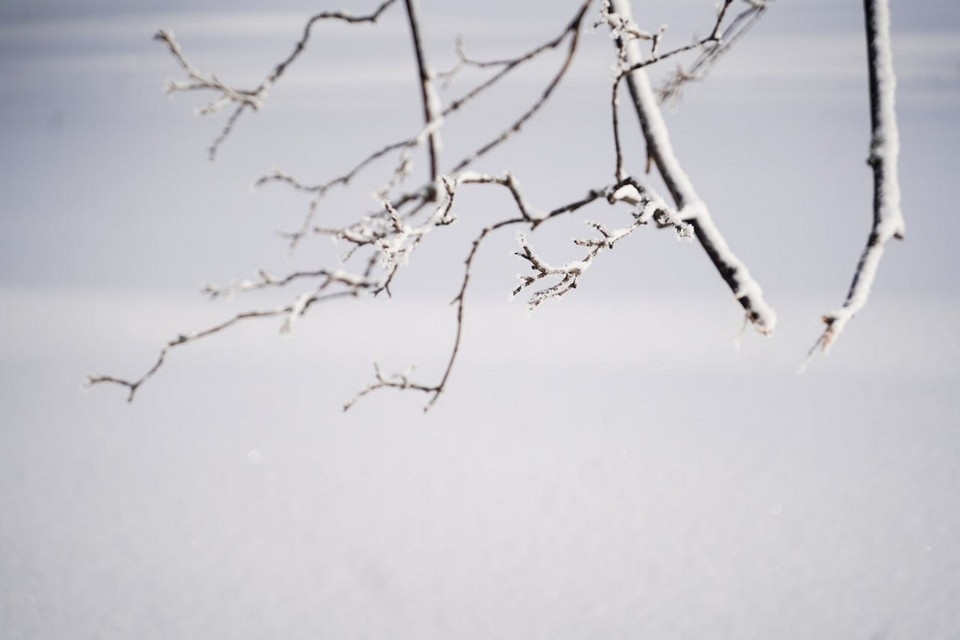    Сильный южный ветер будет дуть ночью 11 марта Светлана МАКОВЕЕВА
