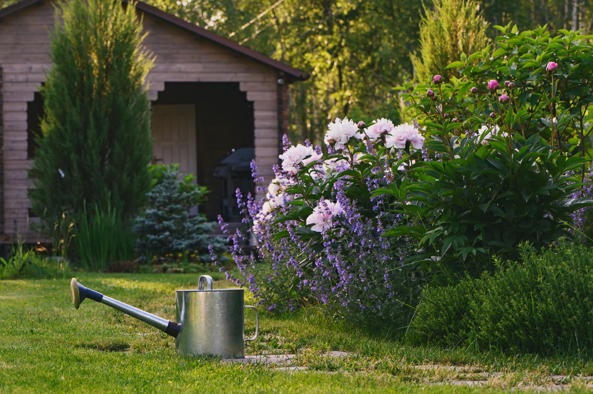 Mkovalevskaya/istock
