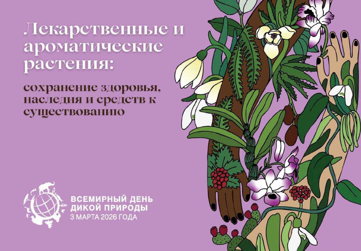 Фото: официальный сайт ООН