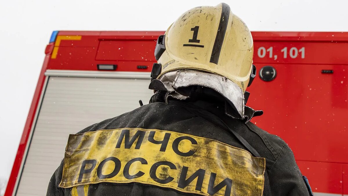   Егор Снетков / Коммерсантъ- Архивное фото