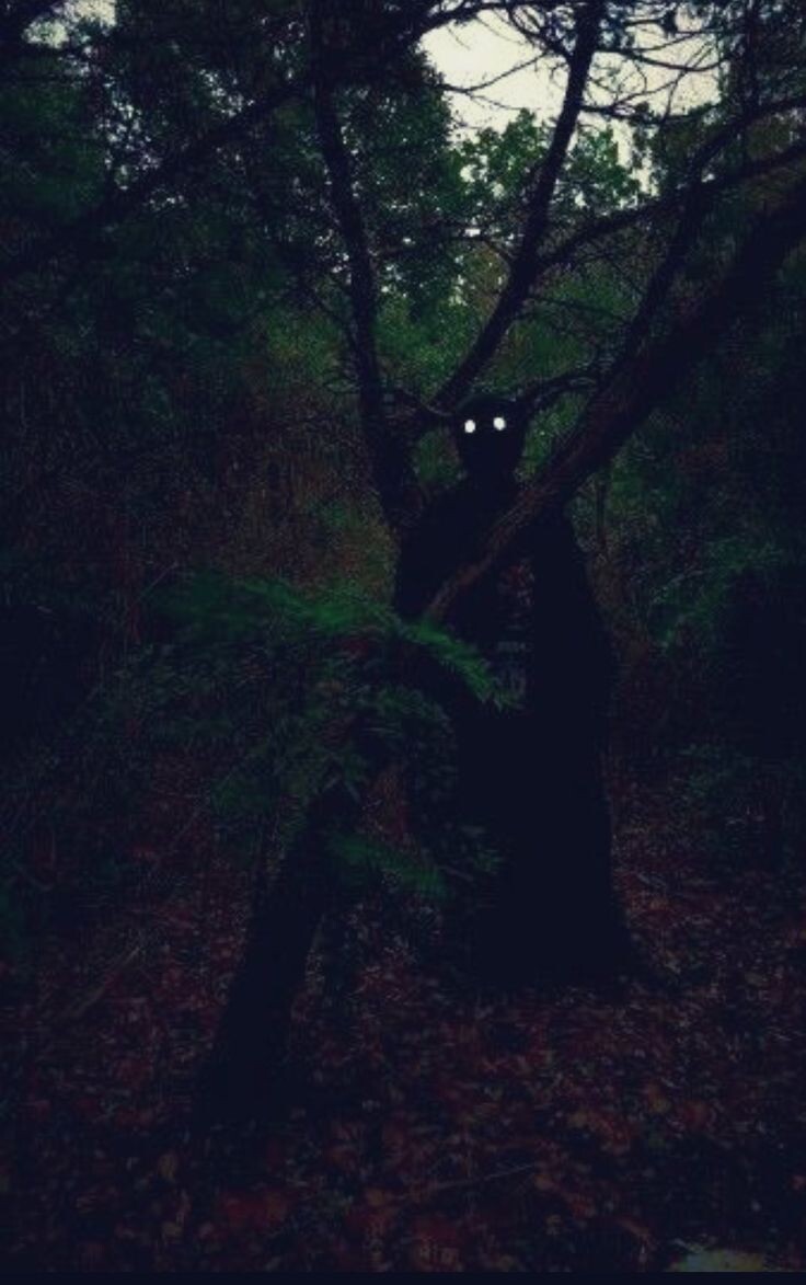 #страшилка #поле #деревня #лес #ночь 