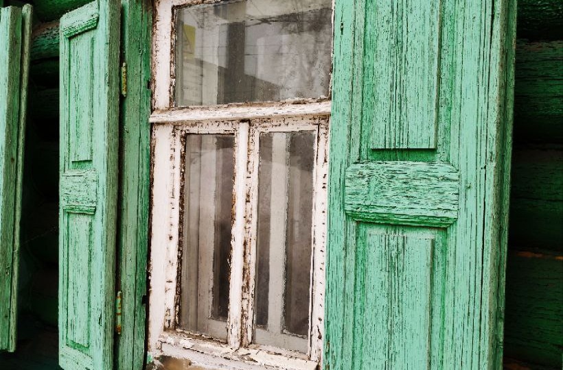 🌿 Смотрите какая красота сегодня попалась нам на улице Октябрьской