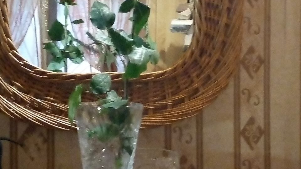 Дневник весны.