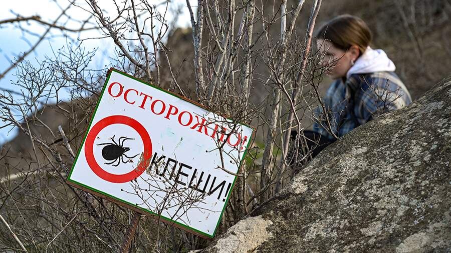    Фото: РИА Новости/Константин Михальчевский