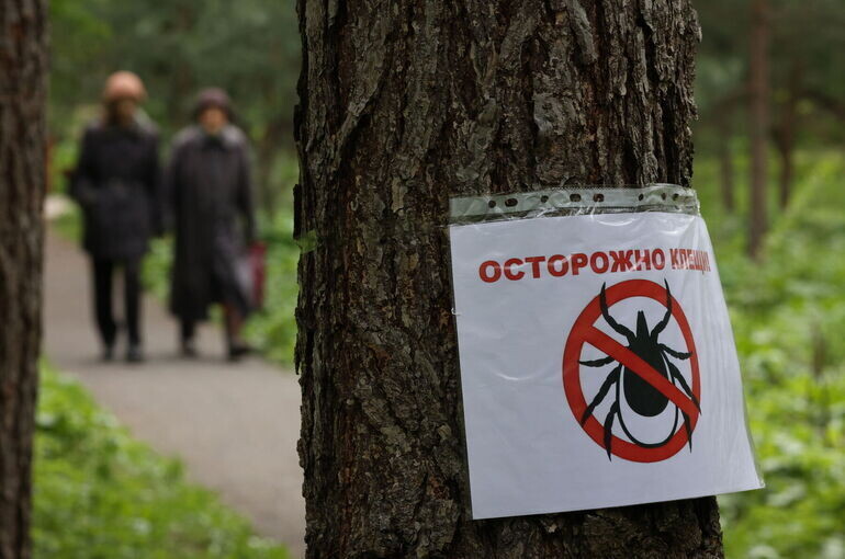   Тимур Ханов/«Парламентская газета»